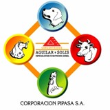 Pipasa